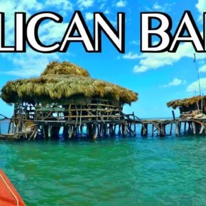 Pelican Bar & Appleton Rum